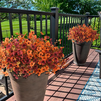EverBrite Sunset Mums - A Perfect Fall Porch, Guaranteed - 4 pieces