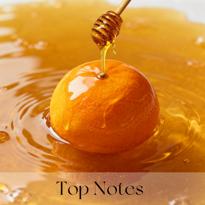 The Honey Oud Elixir - A Scent That Defies Definition + 50% OFF