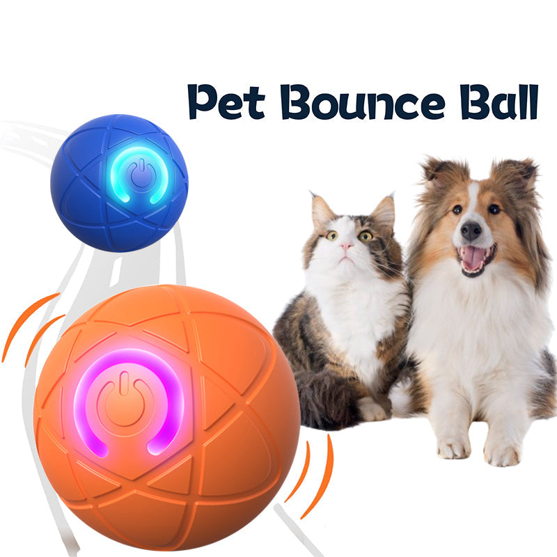 ZoomieRoll – The Self-Propelling Playmate - 50% OFF