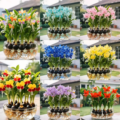 Emberbloom Bulbs - Grow Your Own Magical Lanterns - 50% OFF