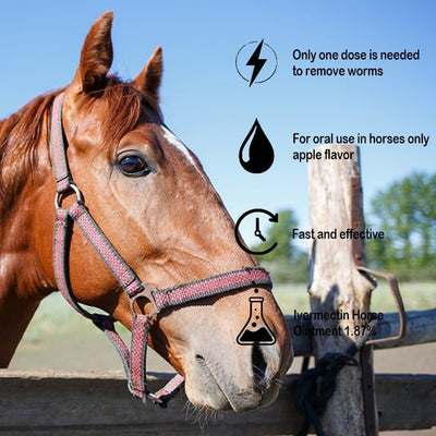 EquiWorm Protect - Advanced Equine Parasite Defense - 50% OFF