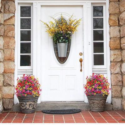 EverGreen Cedar Tree - Instant Curb Appeal + 50% OFF