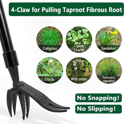 WeedErase Pro – Effortless Weed Removal Without the Agony - 50% OFF