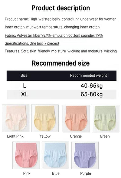 ShapeSilk Antibacterial Panties – Sculpt, Support & Stay Fresh All Day - 1+1 FREE
