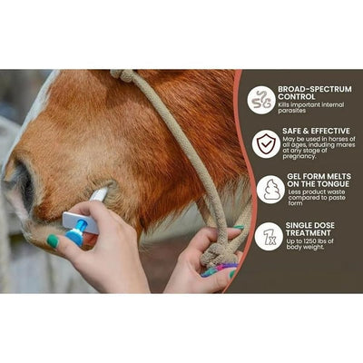 EquiWorm Protect - Advanced Equine Parasite Defense - 50% OFF