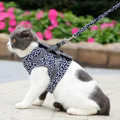 The Explorer Vest - Let Your Cat Explore Safely - 50% OFF