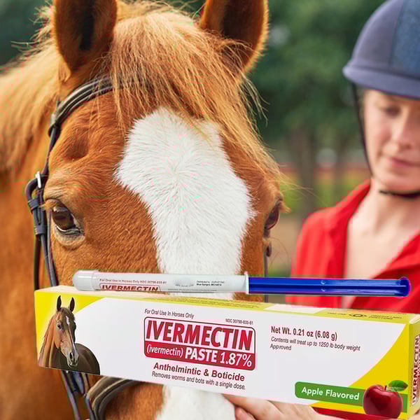 EquiWorm Protect - Advanced Equine Parasite Defense - 50% OFF