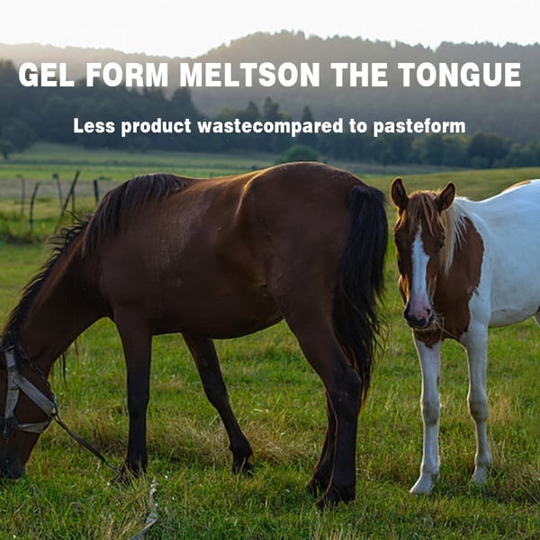 EquiWorm Protect - Advanced Equine Parasite Defense - 50% OFF