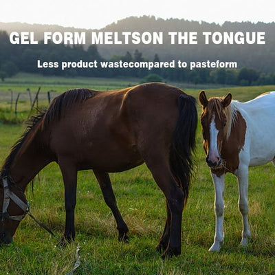 EquiWorm Protect - Advanced Equine Parasite Defense - 50% OFF
