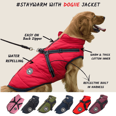 ThermoPaws - All-in-One Winter Freedom - 50% OFF