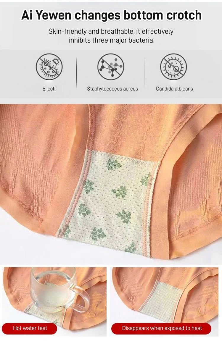 ShapeSilk Antibacterial Panties – Sculpt, Support & Stay Fresh All Day - 1+1 FREE