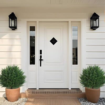 EverGreen Cedar Tree - Instant Curb Appeal + 50% OFF