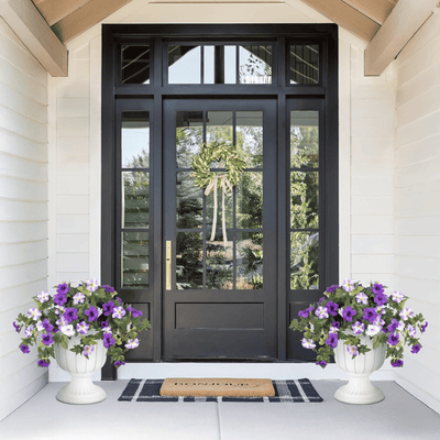 EverBloom Petunias - A Perfect Garden, Effortlessly - 50% OFF