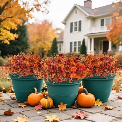 EverBrite Sunset Mums - A Perfect Fall Porch, Guaranteed - 4 pieces