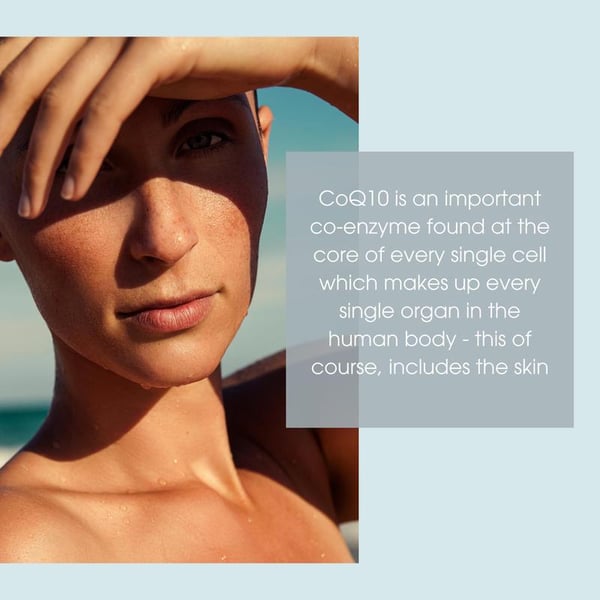 DermaYouth CoQ10 Serum – Your Age-Defying Skin Catalyst