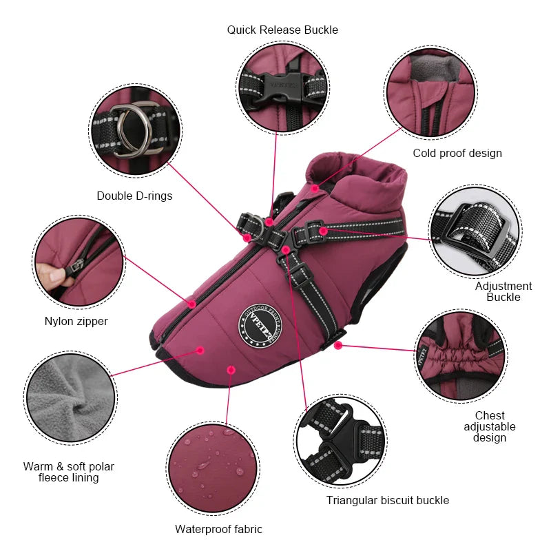 ThermoPaws - All-in-One Winter Freedom - 50% OFF