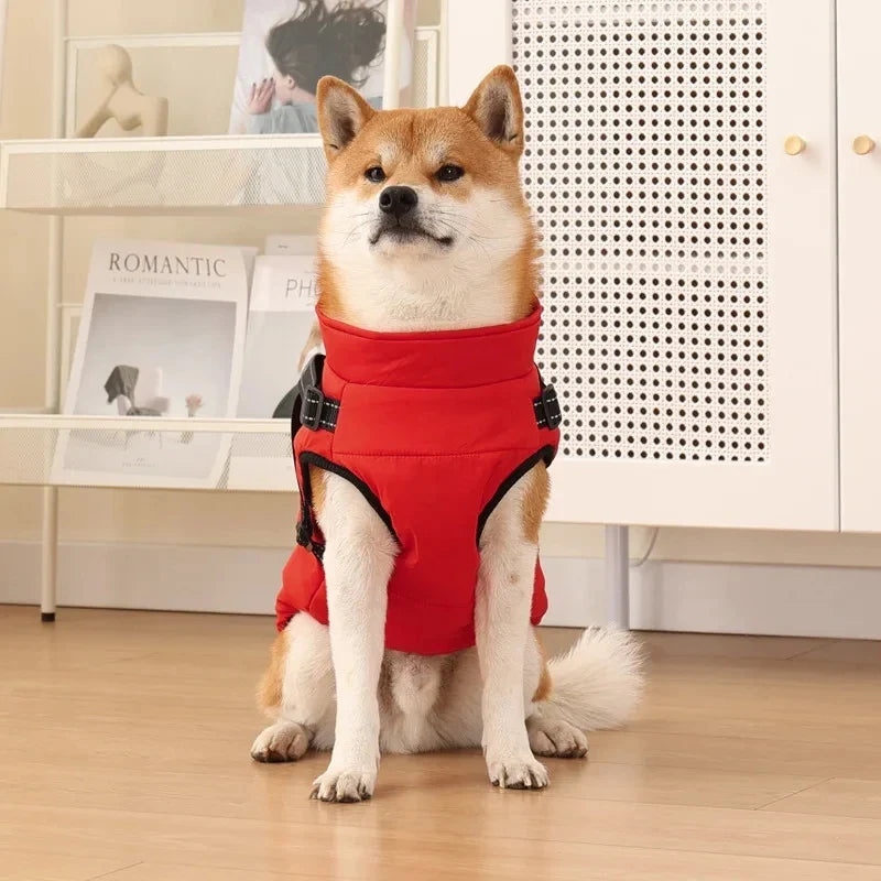 ThermoPaws - All-in-One Winter Freedom - 50% OFF