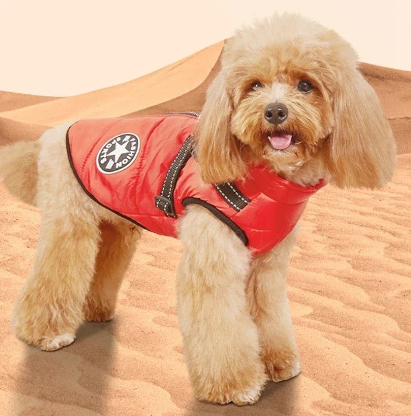 ThermoPaws - All-in-One Winter Freedom - 50% OFF