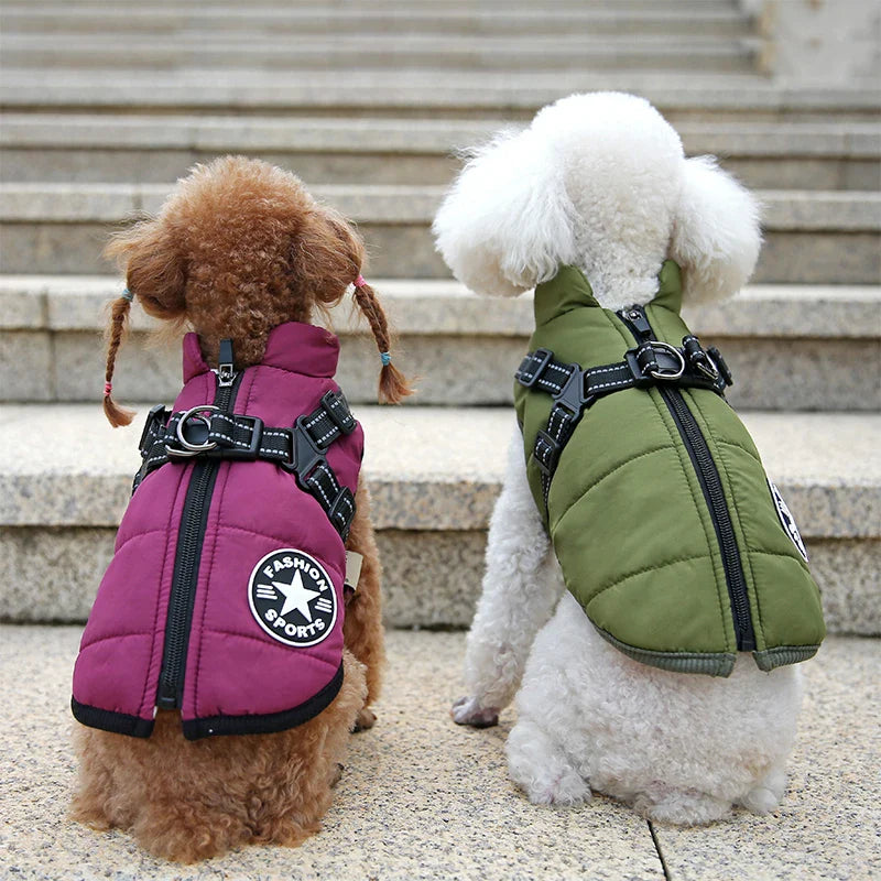 ThermoPaws - All-in-One Winter Freedom - 50% OFF