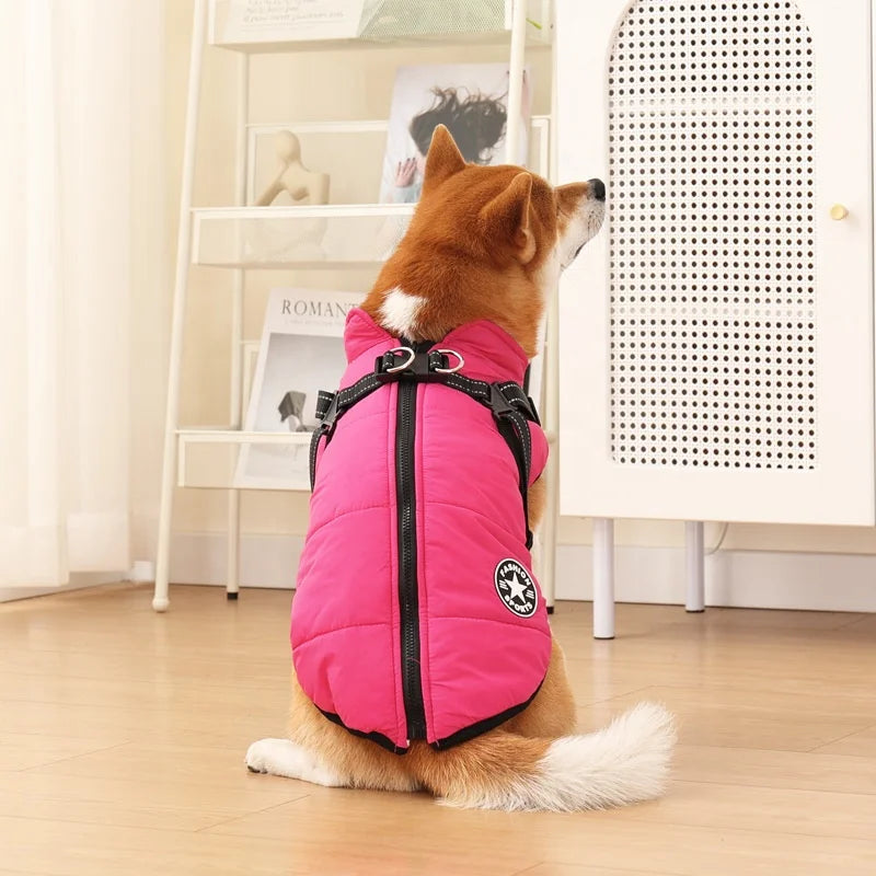 ThermoPaws - All-in-One Winter Freedom - 50% OFF
