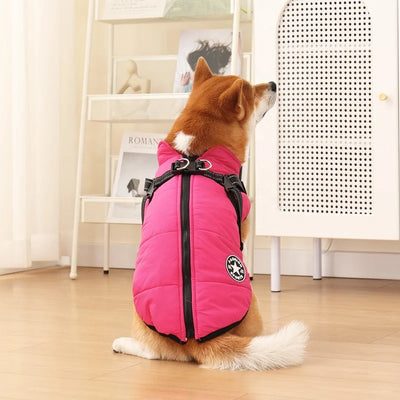 ThermoPaws - All-in-One Winter Freedom - 50% OFF